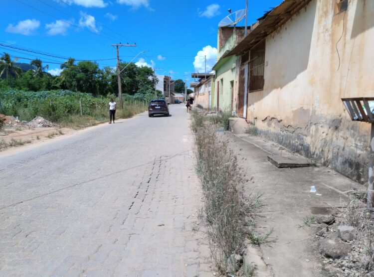 Não está dando conta do recado? Matagal invadindo as vias públicas  e lixão  a céu aberto é a verdade da Rua Rafael de Carvalho em Mantena 