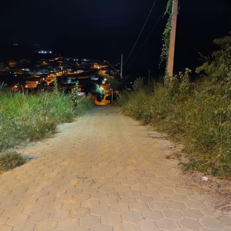 População indignada: Mato tomou conta das ruas do  Bairro Philadelfia, animais peçonhentos aparecem no Bairro Vila Florindo em Mantena 
