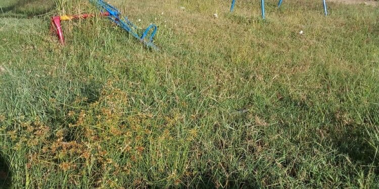 Desleixo! Qual criança brincaria ou qual família frequentaria a Pracinha do bairro Morada Nova em Mantena? 