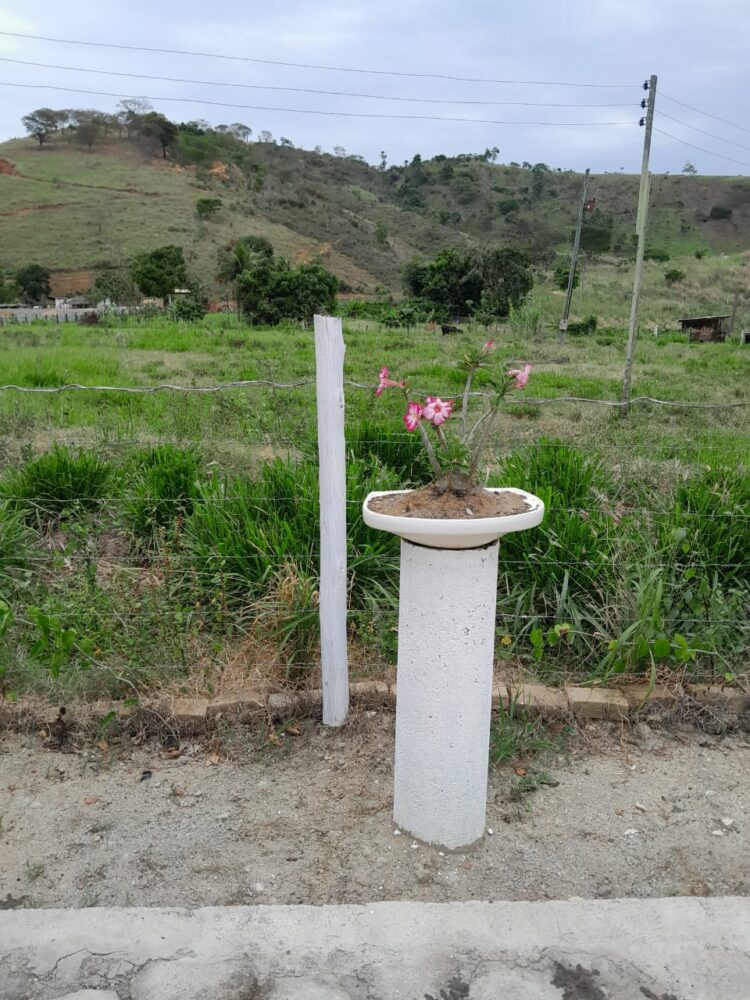 Este sonho pode ser seu: Vende-se um Sítio medindo 25 mil m2 a 3 Km do centro de Mantena, veja as fotos e entre em contato conosco
