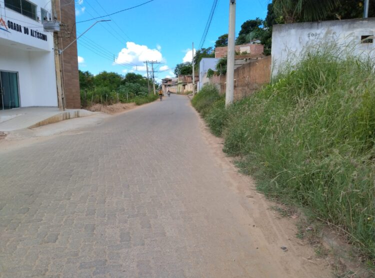 Não está dando conta do recado? Matagal invadindo as vias públicas  e lixão  a céu aberto é a verdade da Rua Rafael de Carvalho em Mantena 