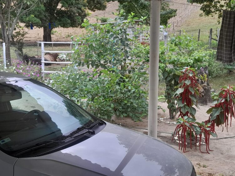Este sonho pode ser seu: Vende-se um Sítio medindo 25 mil m2 a 3 Km do centro de Mantena, veja as fotos e entre em contato conosco