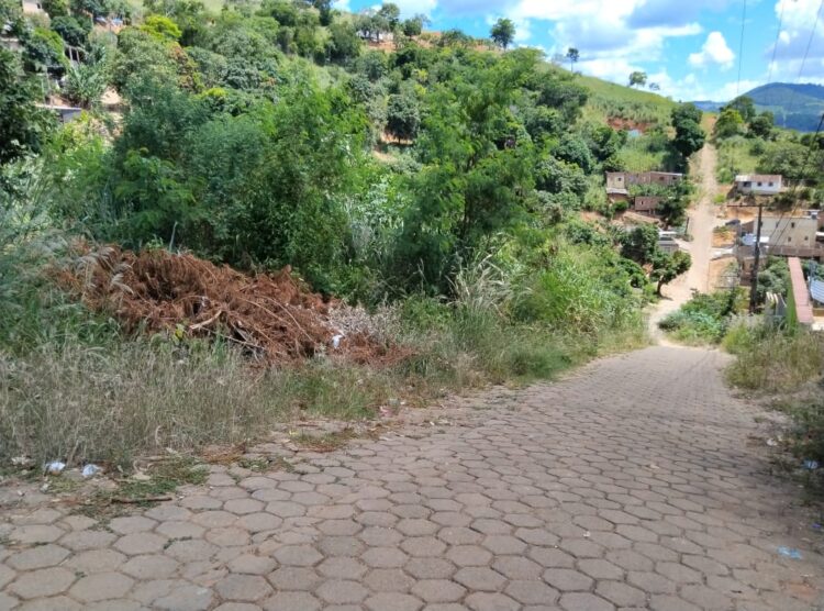 Moradores pedem para “capinar e limpar” os matagais e relatam o aparecimento de “ratos e cobras” nas  residências  no Santos Prates 2