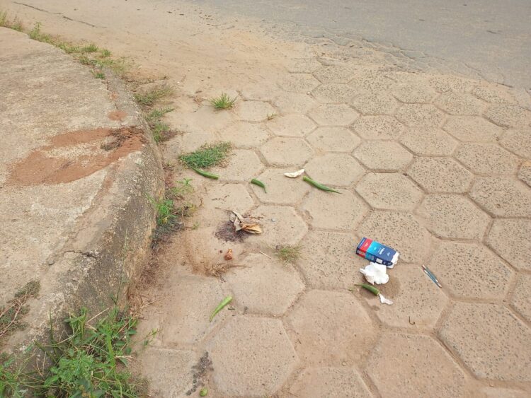 Moradores da Rua H no Bairro 13 de Junho indignados reclamam do descaso na limpeza e coleta do lixo pela Prefeitura de Mantena