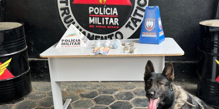 Operação Força Total: Polícia Militar  desarticula Tráfico  Ilícito de Drogas em Mantena 