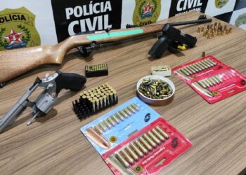 Três armas de fogo e munições são apreendidas pela PCMG em Itabirinha