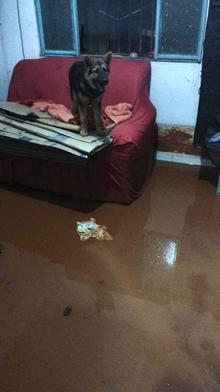 Estádio Municipal Rafael de Carvalho debaixo de água mostra a força das chuvas e exprime o que aconteceu nesta terça-feira, (7), em  Mantena