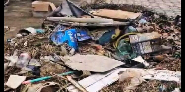 Que vergonha! Morador relata descaso na limpeza das ruas e mostra  lixo acumulado no Bairro Novo Progresso em São João do Manteninha 