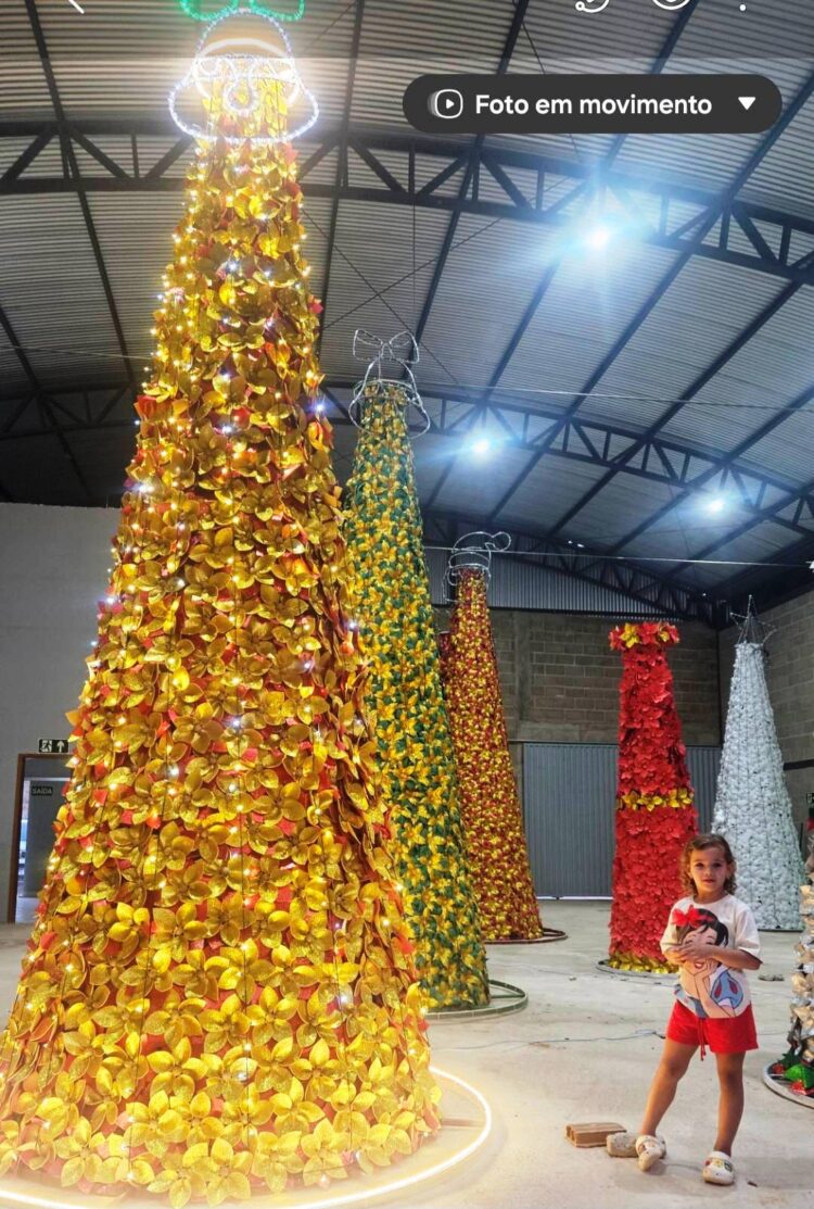 Uma cidade linda e encantadora! Um espetáculo de  luz; Veja como ficou a decoração de Natal 2025 em Itabirinha!