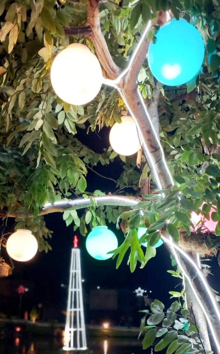 Uma cidade linda e encantadora! Um espetáculo de  luz; Veja como ficou a decoração de Natal 2025 em Itabirinha!