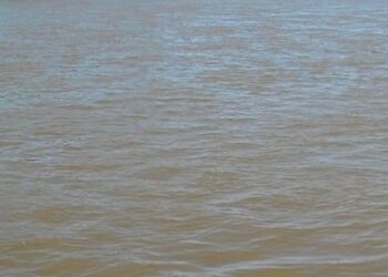 Corpo de jovem de 18 anos é encontrado no Rio Doce em Conselheiro Pena após quatro dias de buscas