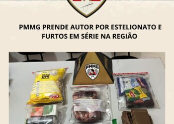 PMMG prende autor por estelionato e furtos em série na região Leste de Minas