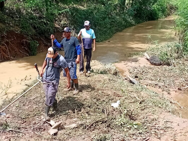 Mantena Floresce: Experiência e Planejamento Transformam o Cenário Ambiental da Cidade