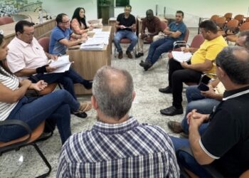 Câmara de Mantena Recebe Secretária de Educação para Alinhamento Estratégico 