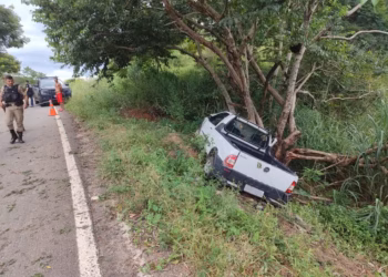 Mulher morre após caminhonete bater contra árvore na MGC-311, em Nova Módica