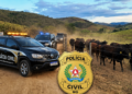 Polícia Civil prende no Espírito Santo suspeito de aplicar golpes milionários no Leste de Minas  