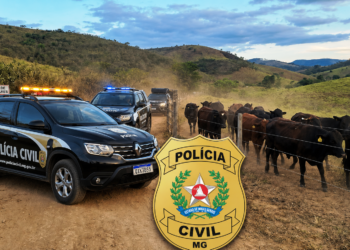 Polícia Civil prende no Espírito Santo suspeito de aplicar golpes milionários no Leste de Minas  