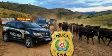 Polícia Civil prende no Espírito Santo suspeito de aplicar golpes milionários no Leste de Minas  