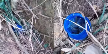 Polícia encontra drogas escondidas na raiz de árvore e prende três por tráfico em Itabirinha